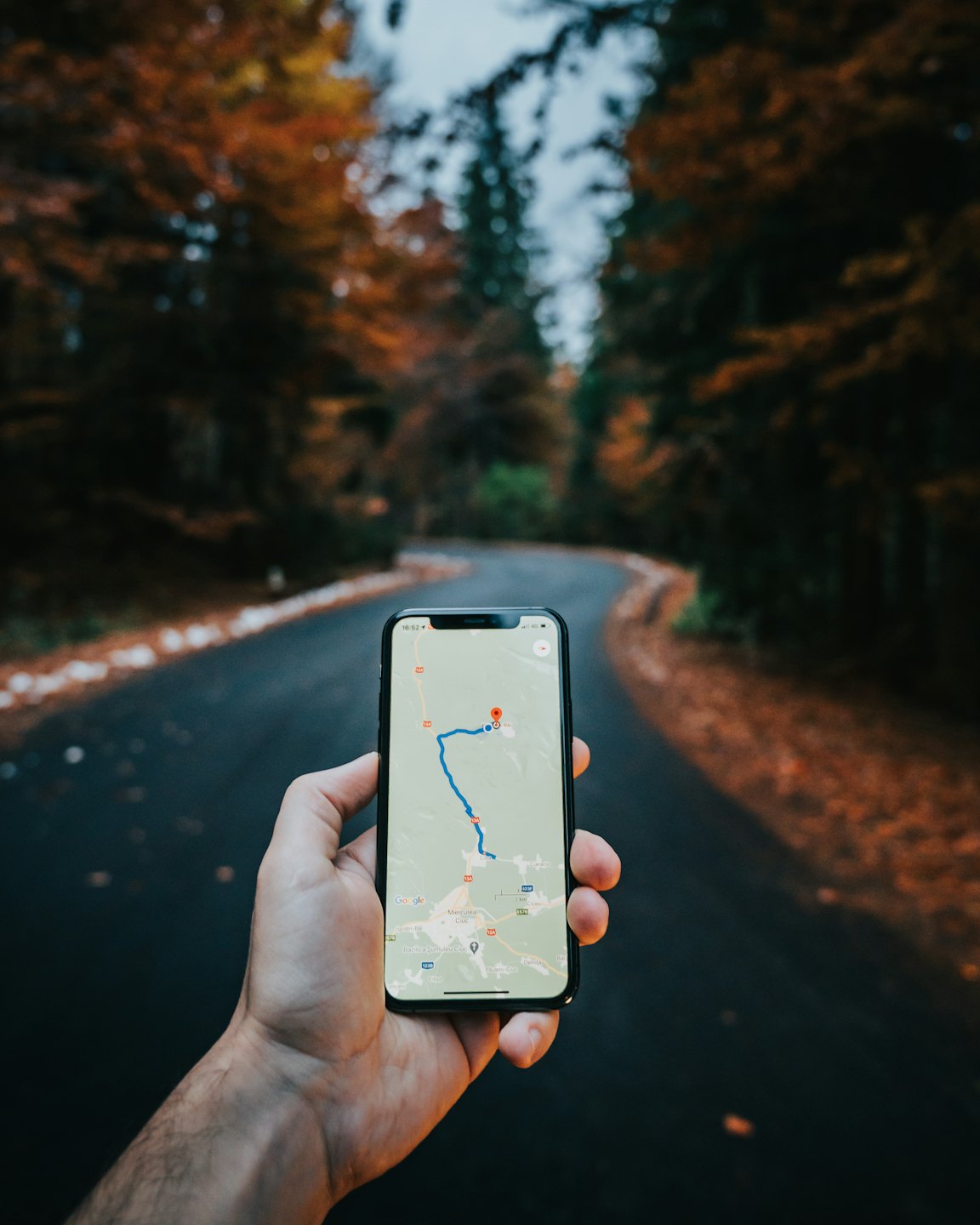 Hand holding smartphone with navigation map on a forest road.